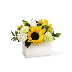 The FTD Sweet as Lemonade Bouquet from Monrovia Floral in Monrovia, CA